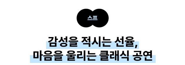 스프 감성을 적시는 선율, 마음을 울리는 클래식 공연