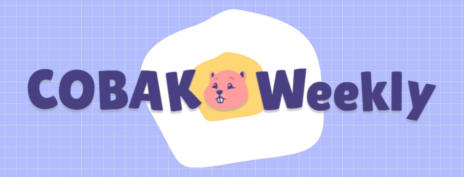 5월 3주차] 🤓코린이들이 주의해야 할 점!