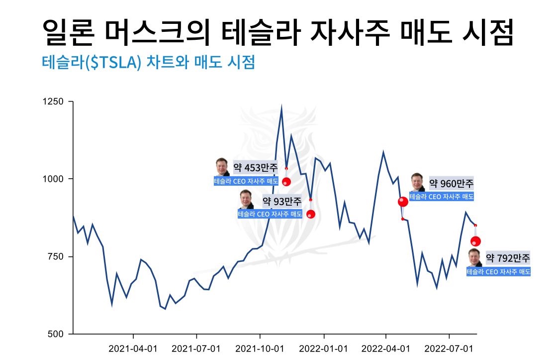 돈키레터]⛷️활짝 열린 스키장