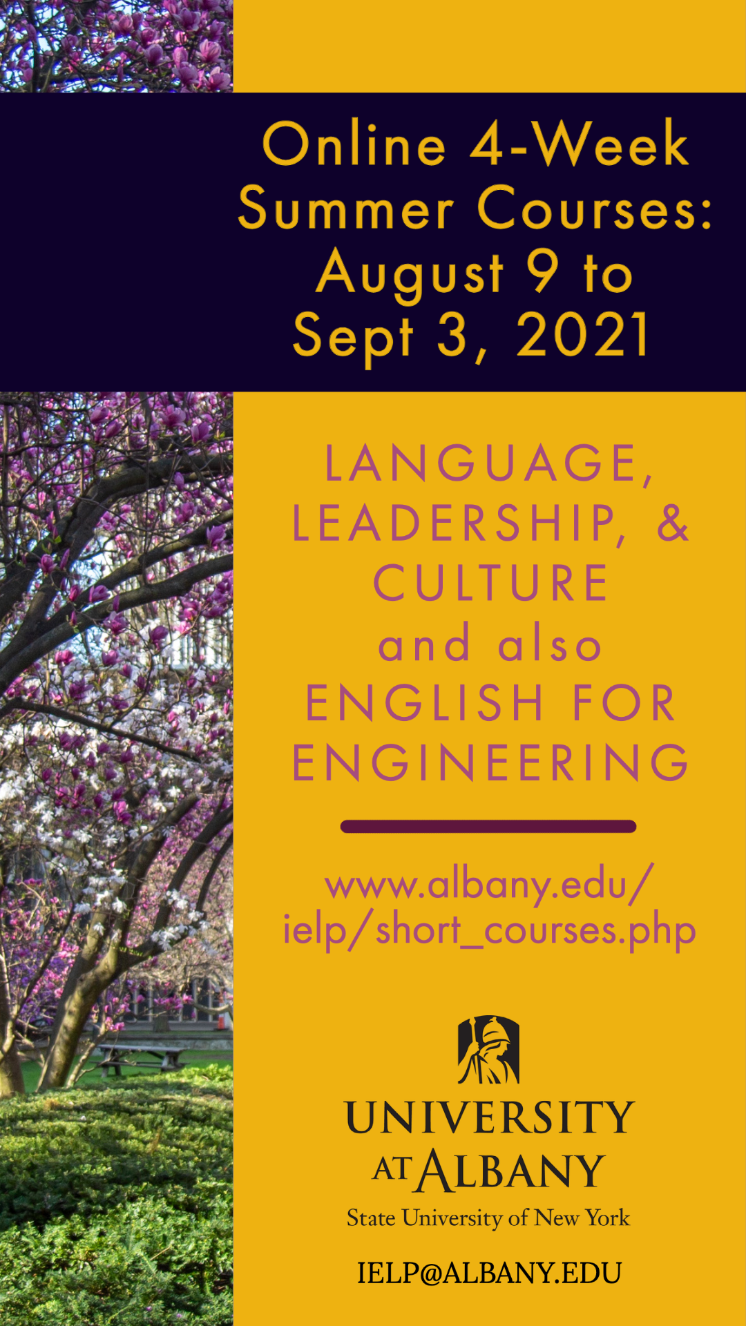 SUNY, ALBANY 여름 단기 어학코스