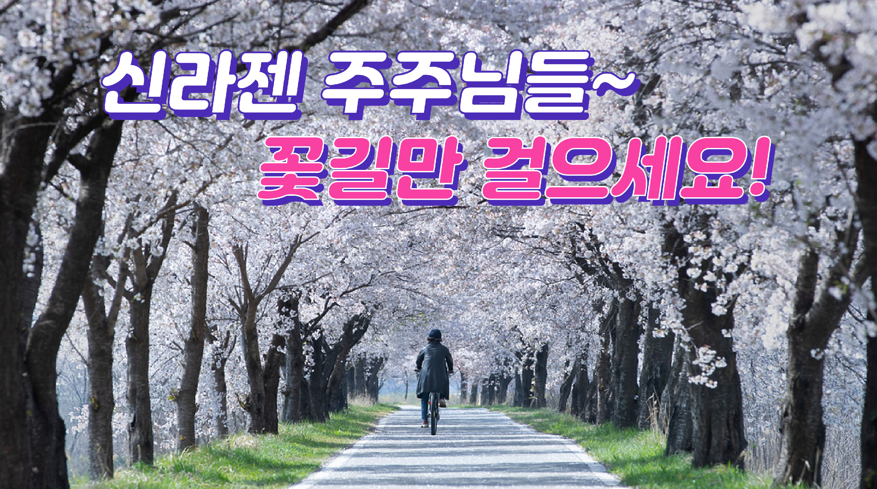 💸천국→지옥→이승...신라젠 다음 코스는?