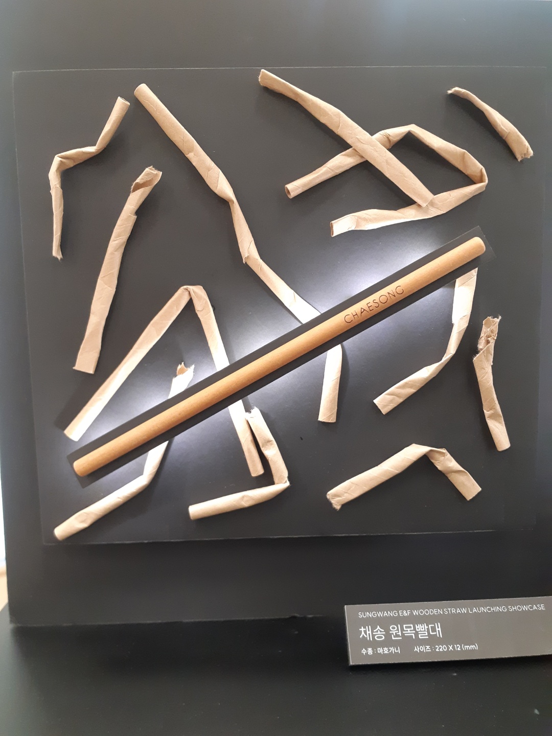 🌏나무 빨대, 친환경 맞아?