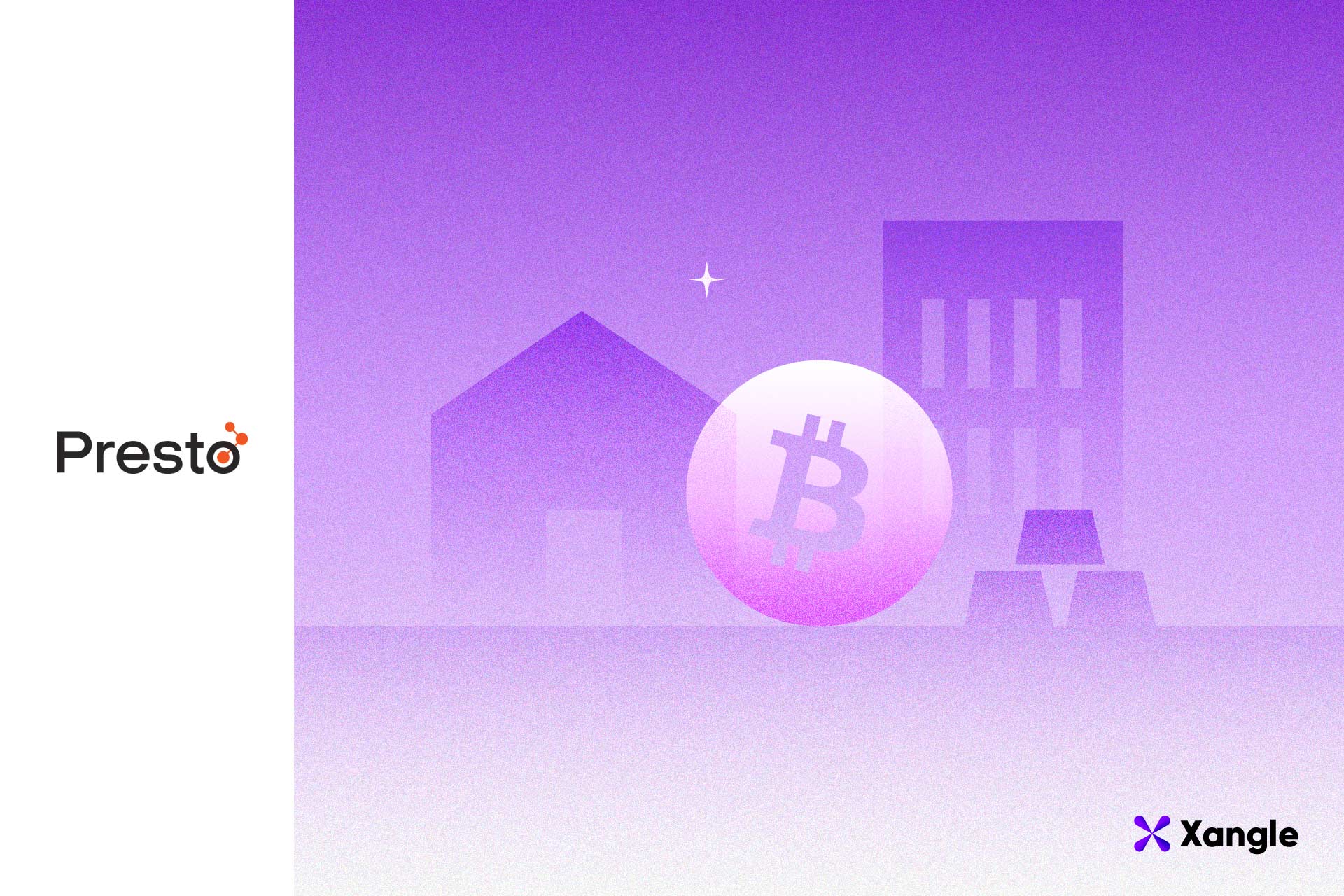 Xangle] 드디어! 스타크넷 에어드랍, 그런데... 😭